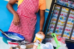 Aesmi-Africa-Initiative-012